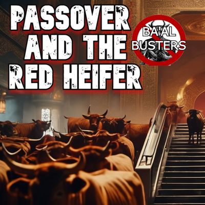 Today's the Day Red Heifer and Passover (SFR RETURN EP 1: 8am - 10am PT M,T,W