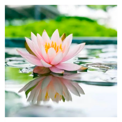 Sadness of Heart~ to the Heart of the Journey ~