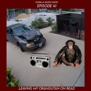 Episode 41 - Leaving my Orangutan on Read