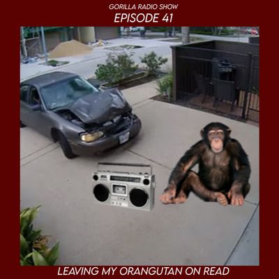 Episode 41 - Leaving my Orangutan on Read