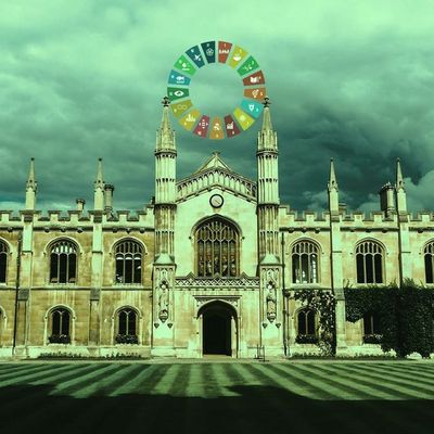 The Strange Death of the University, Part 4: The Strange Death of Knowledge