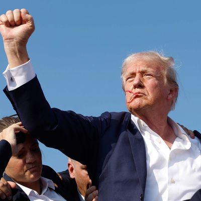A would-be assassin targets Trump. What it could mean for America.