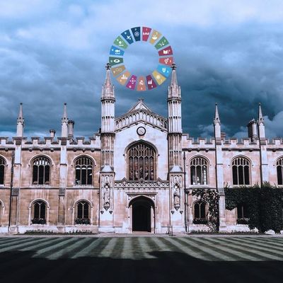 The Strange Death of the University, Part 2: A New Sensibility