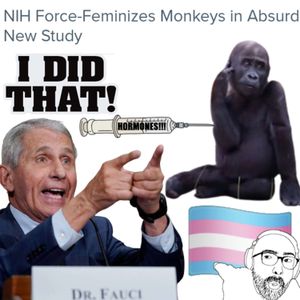 Episode 49 - Chimpanzee Hormones