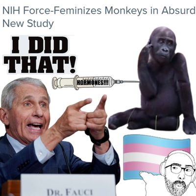 Episode 49 - Chimpanzee Hormones