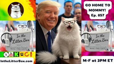 GO HOME TO MOMMY! | In the Litter Box w/ Jewels & Catturd – Ep. 857 – 8/6/2025