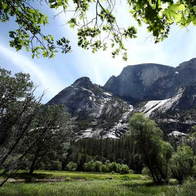 The Growing Overlap Between The Far-Right And Environmentalism