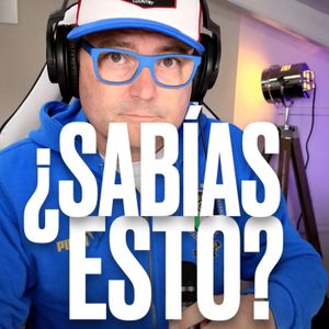 ¿Qué ocurre si metes 200 hormigas en un tarro de cristal?
