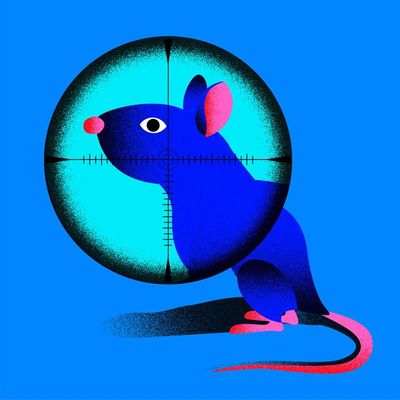 "KI verstehen" empfiehlt - Podcast "Deep Science": Rattenjagd für Vogelschutz