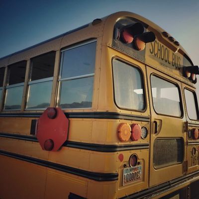 How Education Turned Critical