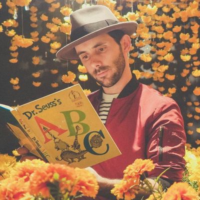 Aufheben der Dr. Seuss