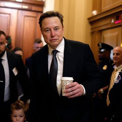 What does Elon Musk get out of remaking the government?