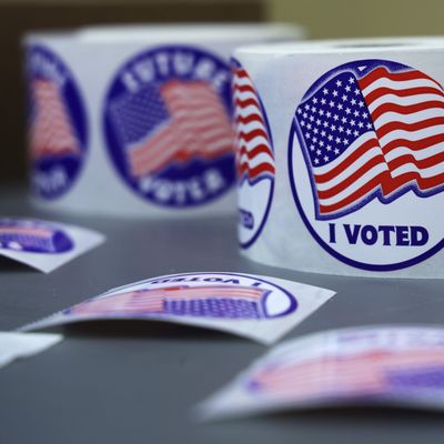 They Don't Trust Election Officials, So They're Doing Their Own Door-To-Door Audit