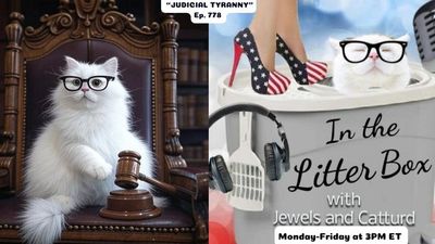 JUDICIAL TYRANNY | In the Litter Box w/ Jewels & Catturd – Ep. 778 – 4/7/2025