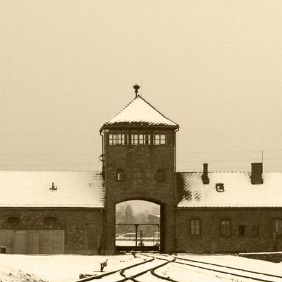 The Nazi Experiment, Vol. 2: Hitler's Nazi Race Ideology
