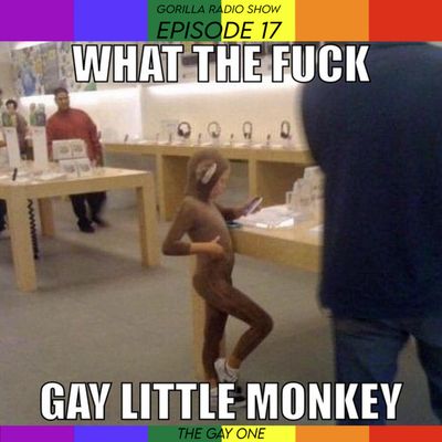 Episode 17 - The Gay One