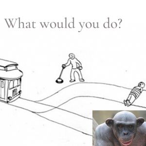 UNLOCKED! - Bonus Episode #19 - Would You Suck Every Ape's Dick To Save One Human?