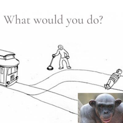 UNLOCKED! - Bonus Episode #19 - Would You Suck Every Ape's Dick To Save One Human?