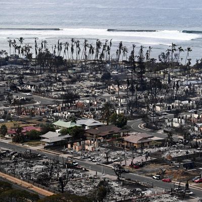 Maui's Devastating Wildfires