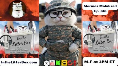 Marines Mobilize | In the Litter Box w/ Jewels & Catturd – Ep. 818 – 6/10/2025