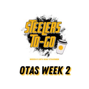 Steelers To-Go: A Lot to Watch in Week 2 of OTAs