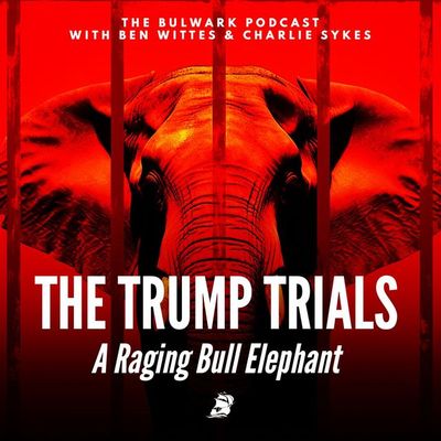 A Raging Bull Elephant