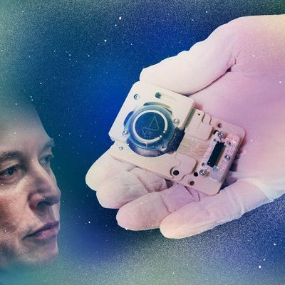 At Least Neuralink Is Doing Well