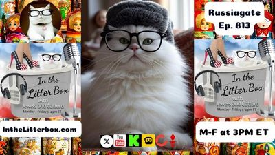 Russiagate | In the Litter Box w/ Jewels & Catturd – Ep. 813 – 6/3/2025