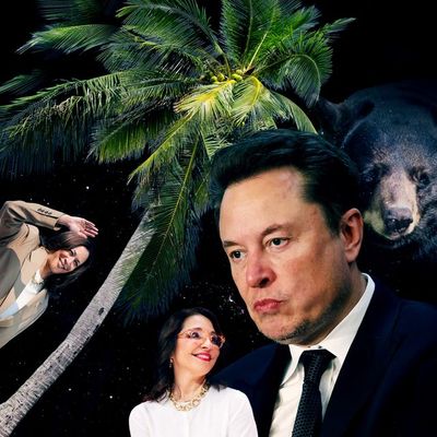 Elon Musk Goes on Politics Posting Rampage and Why He Left California