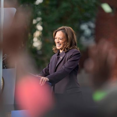Kamala Harris ran a historic campaign. What will her legacy be?
