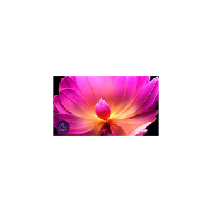 Wisdom Wednesday ~& Hope for Healing