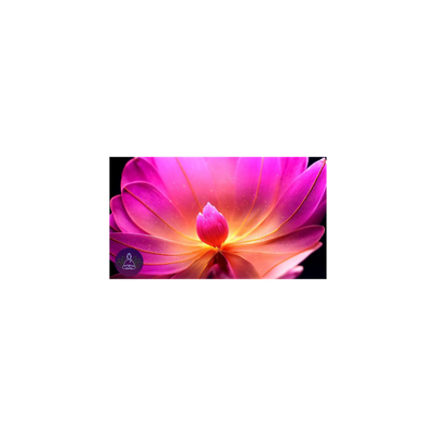 Wisdom Wednesday ~& Hope for Healing