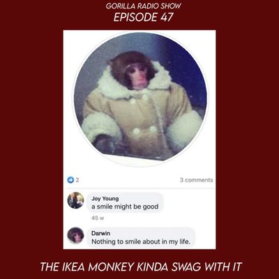 Episode 47 - The Ikea Monkey Kinda Swag With It
