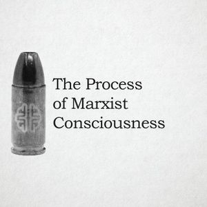 The Process of Marxist Consciousness
