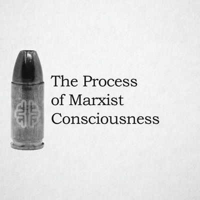 The Process of Marxist Consciousness