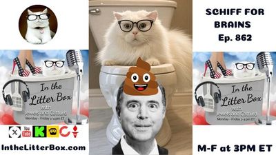 SCHIFF FOR BRAINS | In the Litter Box w/ Jewels & Catturd – Ep. 862 – 8/13/2025