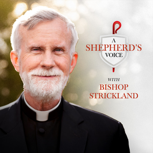A Shepherd's Voice