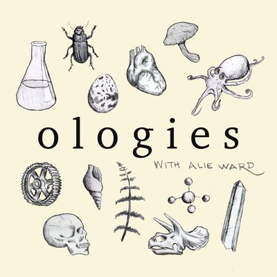 Salugenology (WHY HUMANS REQUIRE HOBBIES) Part 2 with Julia Hotz